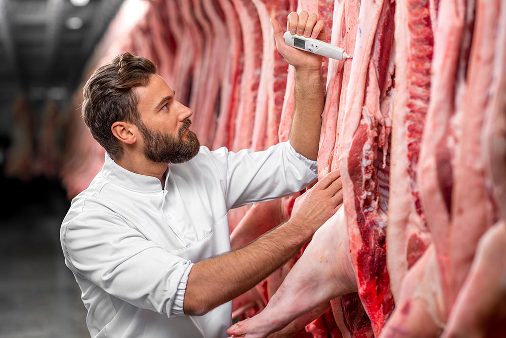 A technician checks the temperature and humidity of a piece of meat in a refrigerated cutting room